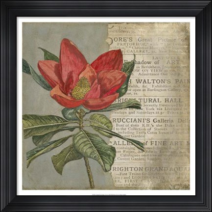 Framed Vintage Fleur Rouge I Print