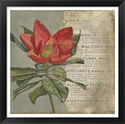 Framed Vintage Fleur Rouge I Print