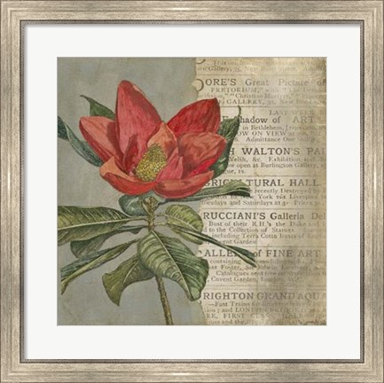 Framed Vintage Fleur Rouge I Print