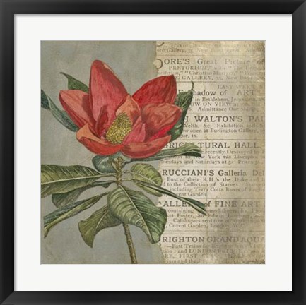 Framed Vintage Fleur Rouge I Print