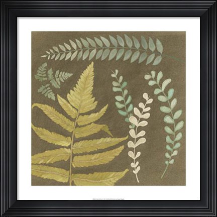 Framed Earth &amp; Fern I Print
