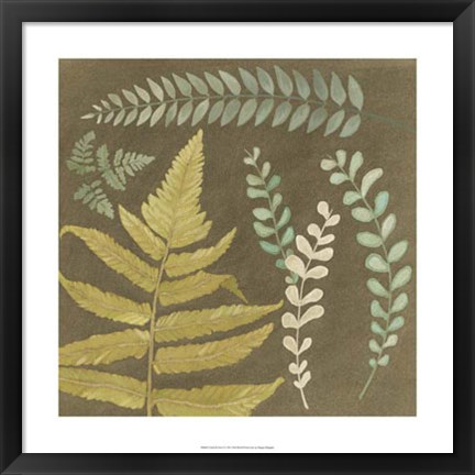 Framed Earth &amp; Fern I Print