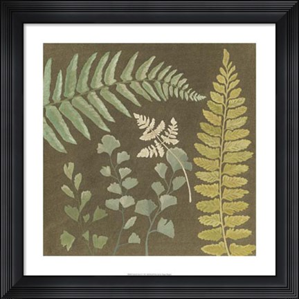 Framed Earth &amp; Fern II Print