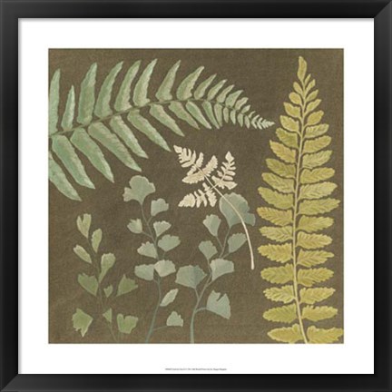 Framed Earth &amp; Fern II Print