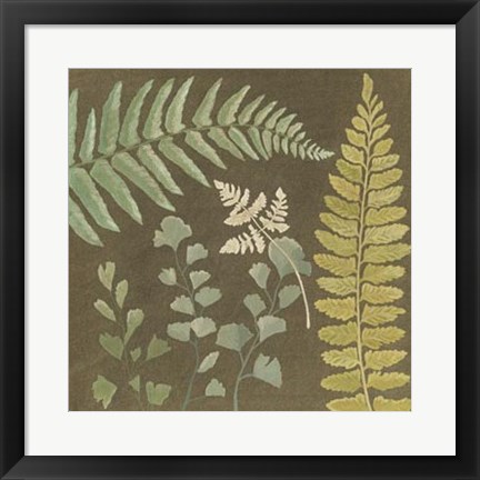 Framed Earth &amp; Fern II Print