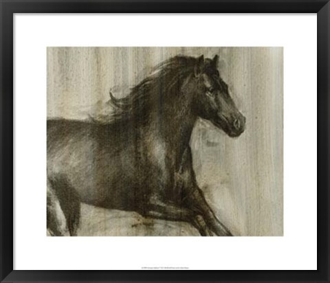 Framed Dynamic Stallion I Print