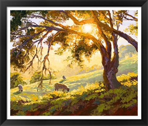 Framed Restful Radiance Print