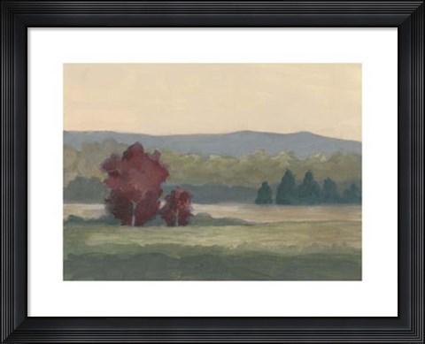 Framed Morning Haze II Print