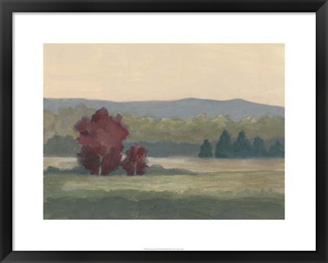 Framed Morning Haze II Print