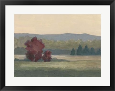 Framed Morning Haze II Print