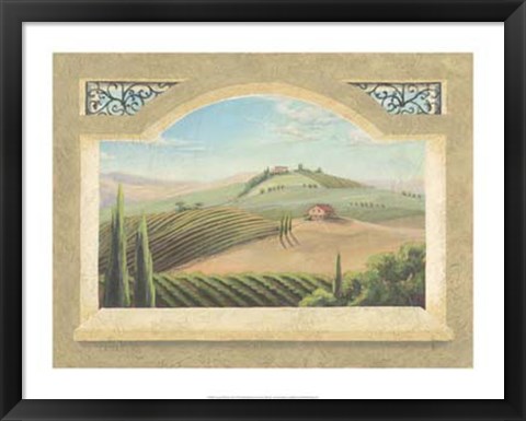 Framed Vineyard Window III Print