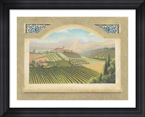 Framed Vineyard Window IV Print