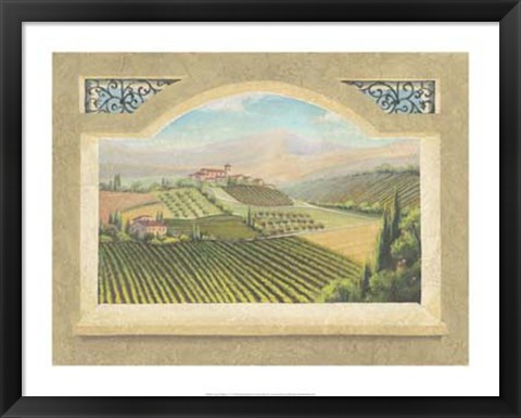 Framed Vineyard Window IV Print