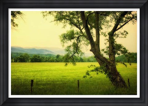 Framed Morning at the Cove I Print