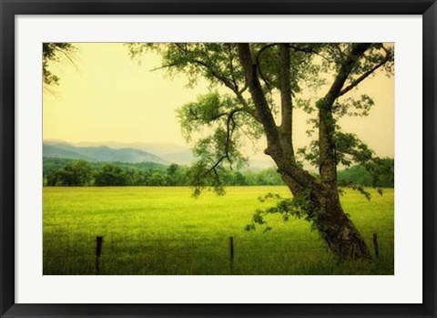 Framed Morning at the Cove I Print