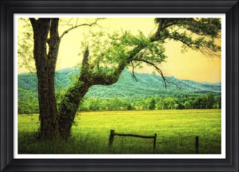 Framed Morning at the Cove II Print