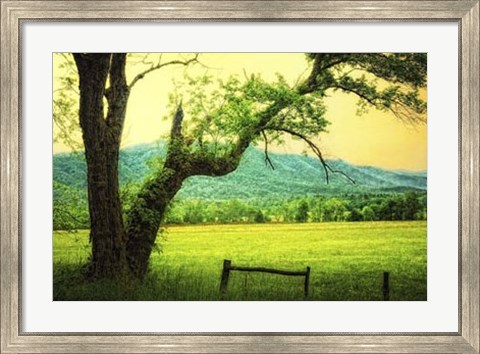 Framed Morning at the Cove II Print