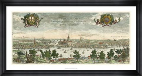 Framed Dahlberg Bird&#39;s Eye View III Print