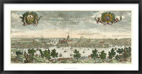 Framed Dahlberg Bird&#39;s Eye View III Print