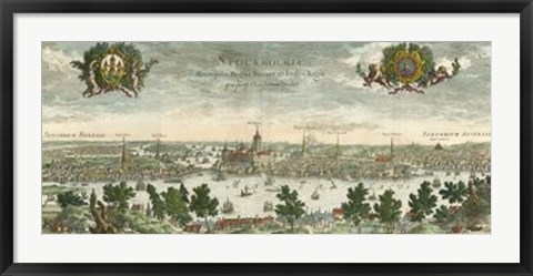 Framed Dahlberg Bird&#39;s Eye View III Print