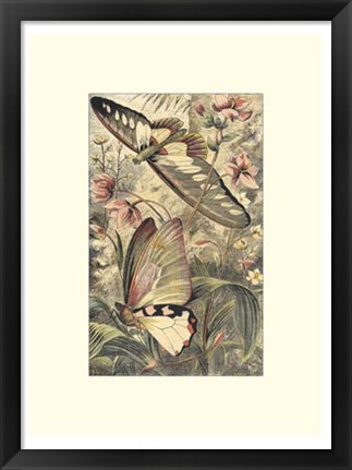 Framed Dancing Butterfly I Print