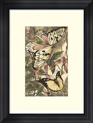 Framed Dancing Butterfly II Print