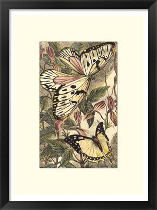 Framed Dancing Butterfly II Print