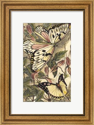 Framed Dancing Butterfly II Print
