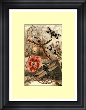Framed Dancing Dragonfly I Print