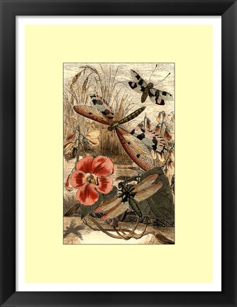 Framed Dancing Dragonfly I Print