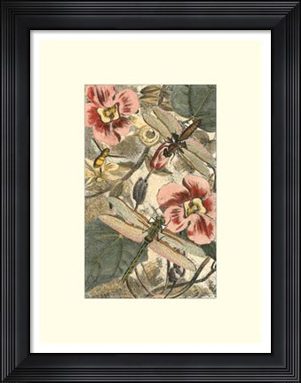 Framed Dancing Dragonfly II Print