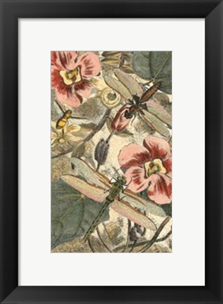 Framed Dancing Dragonfly II Print