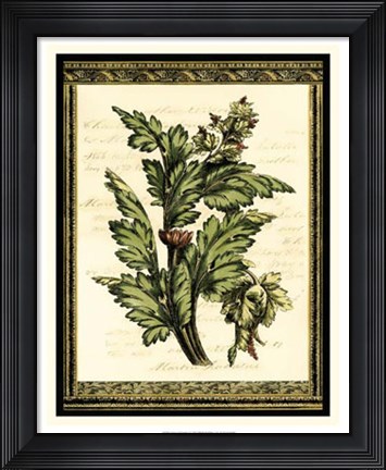 Framed Leaves of Elegance I Print