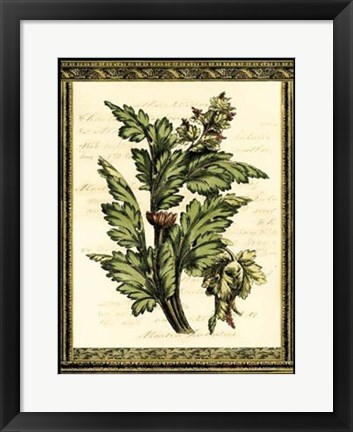 Framed Leaves of Elegance I Print