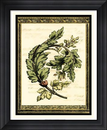 Framed Leaves of Elegance II Print
