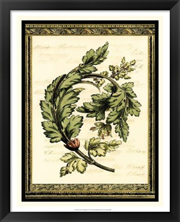 Framed Leaves of Elegance II Print