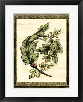 Framed Leaves of Elegance II Print