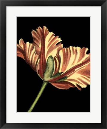 Framed Vibrant Tulips I Print