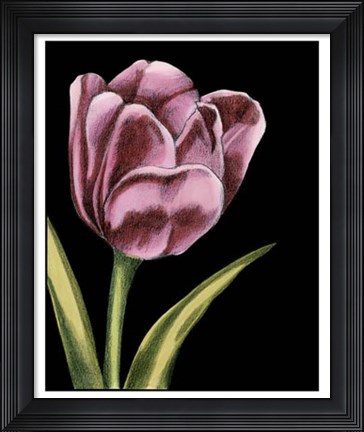 Framed Vibrant Tulips III Print