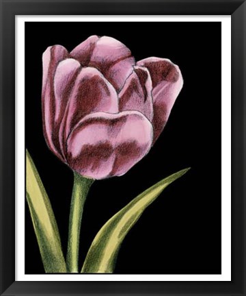 Framed Vibrant Tulips III Print