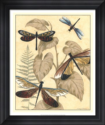Framed Graphic Dragonflies in Nature II Print