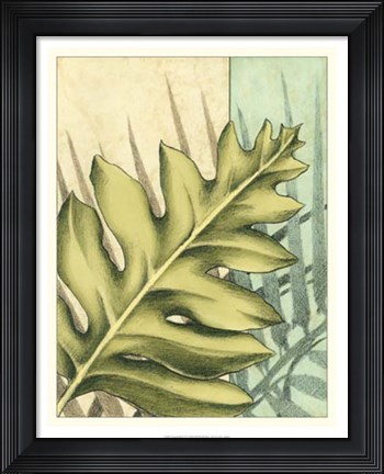 Framed Tropical Shade IV Print
