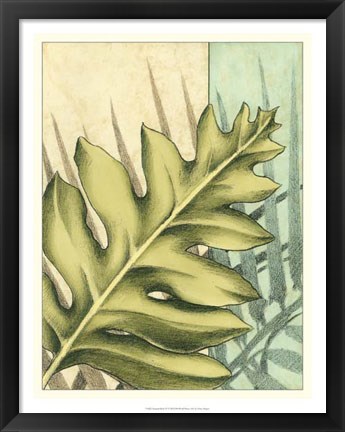 Framed Tropical Shade IV Print