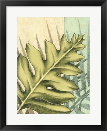 Framed Tropical Shade IV Print