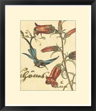 Framed Hummingbird Reverie I Print