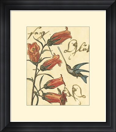 Framed Hummingbird Reverie II Print