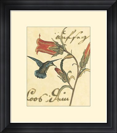 Framed Hummingbird Reverie III Print