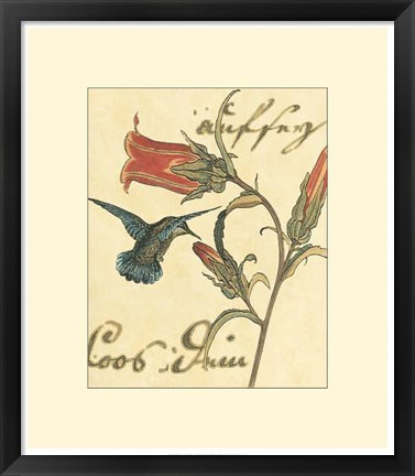 Framed Hummingbird Reverie III Print