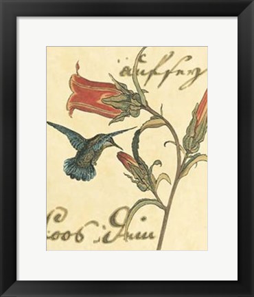 Framed Hummingbird Reverie III Print