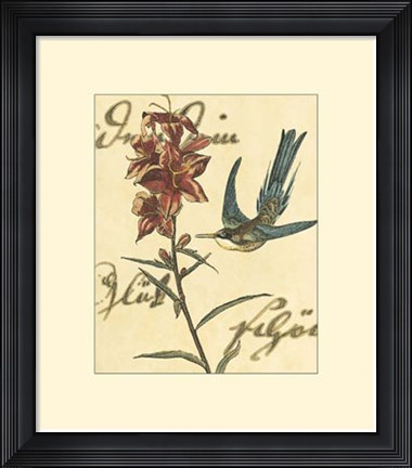 Framed Hummingbird Reverie IV Print